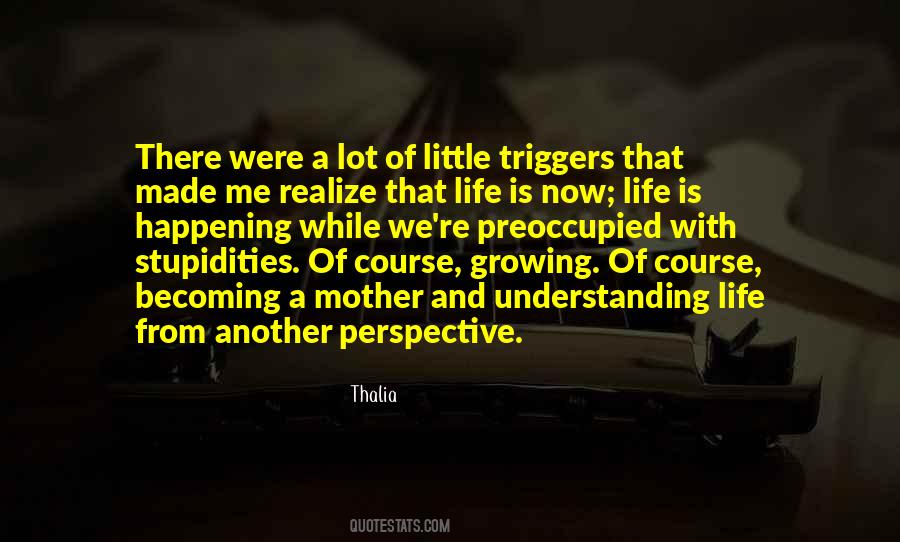 Quotes About Triggers #43363
