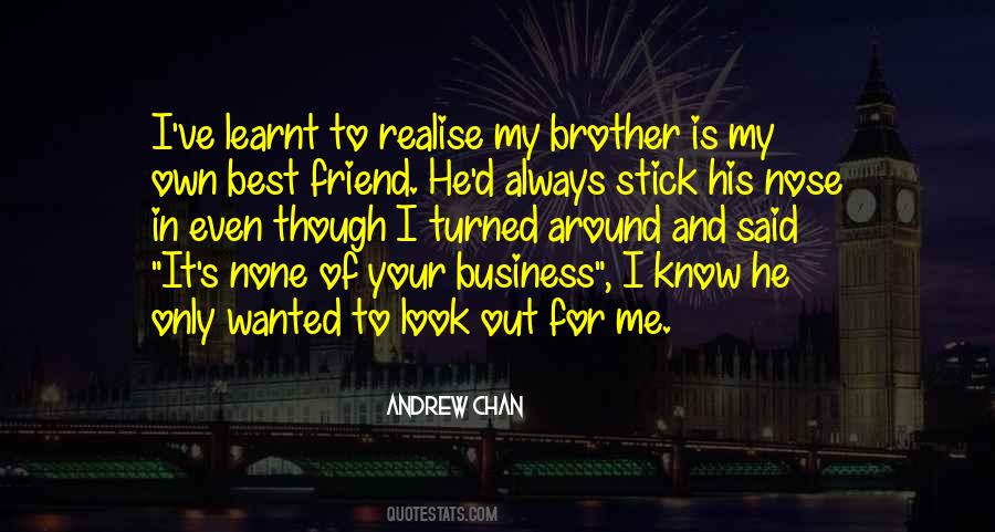 Best Friend S Brother Quotes #695123