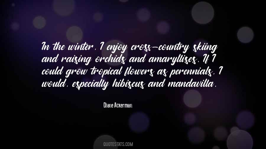Quotes About Hibiscus #1833246