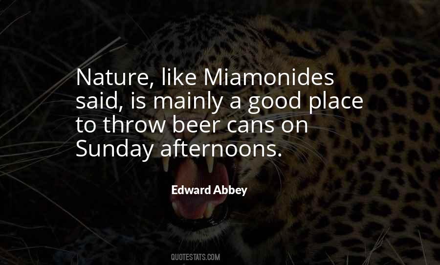 Quotes About Sunday Afternoons #1724305