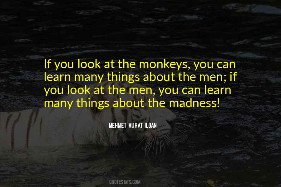 The Monkeys Quotes #193734
