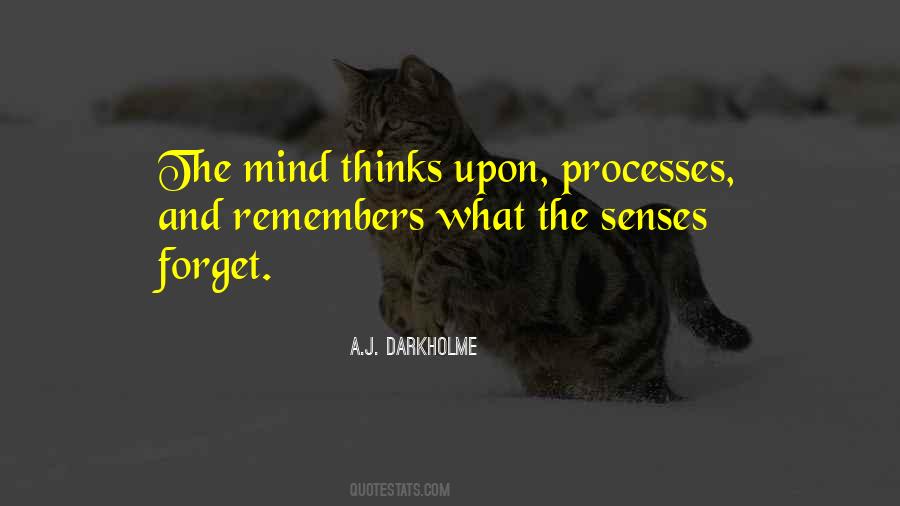 Quotes About The Senses #1228689