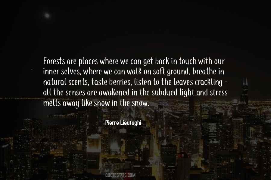 Quotes About The Senses #947098