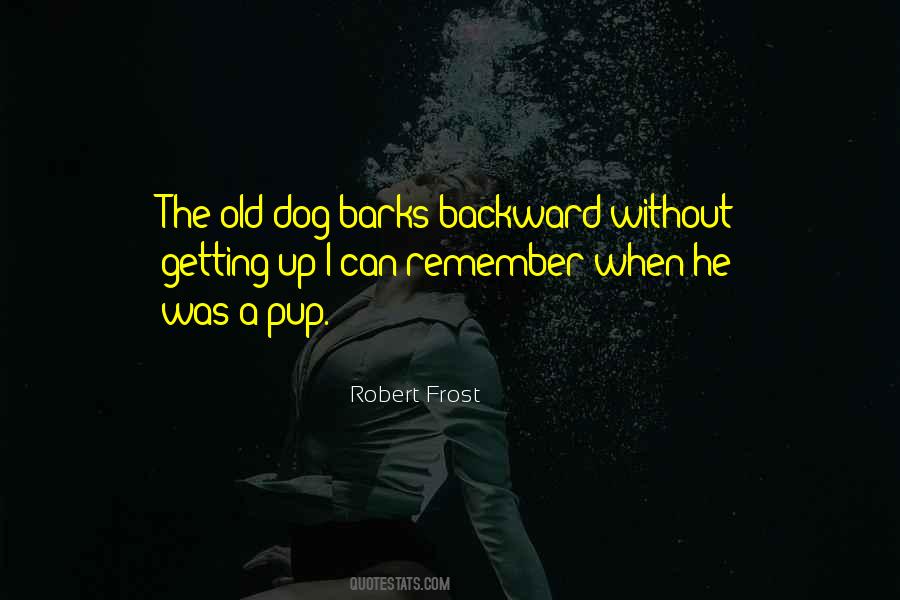 Quotes About Dog Barks #1133120