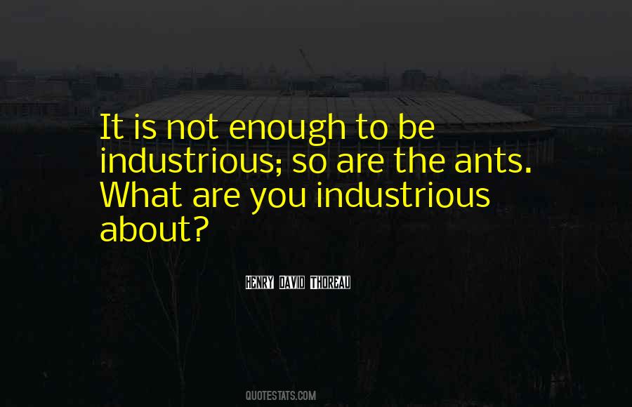 Quotes About Industriousness #919451