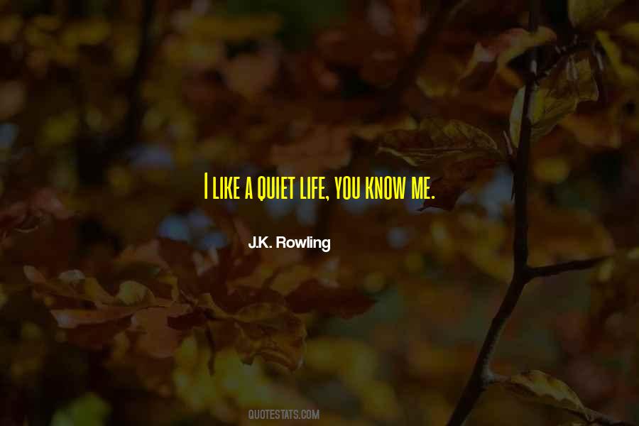 Quotes About Quiet Life #210320