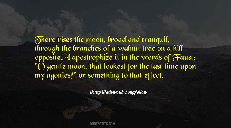 Effect Of Words Quotes #596557