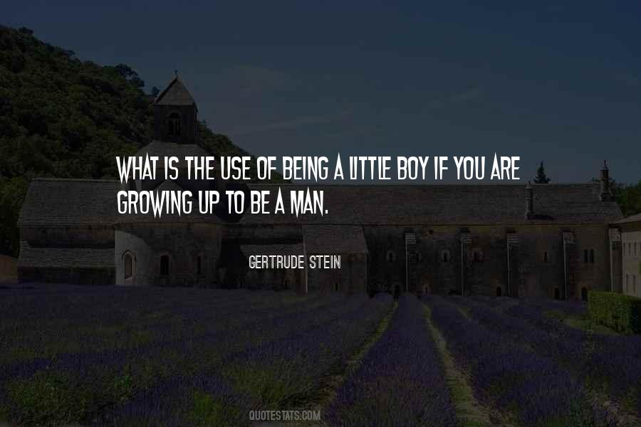 Quotes About A Little Boy #338513