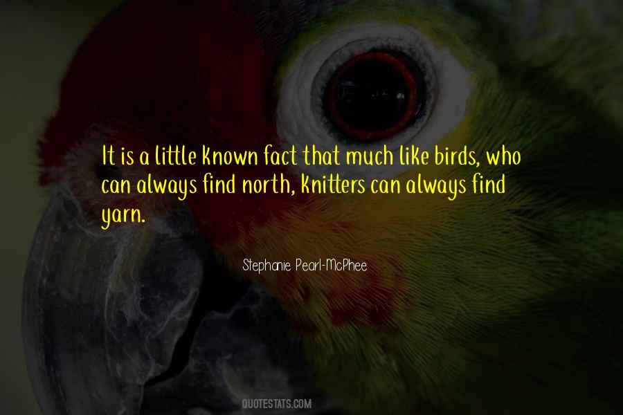 Quotes About Little Birds #1319318