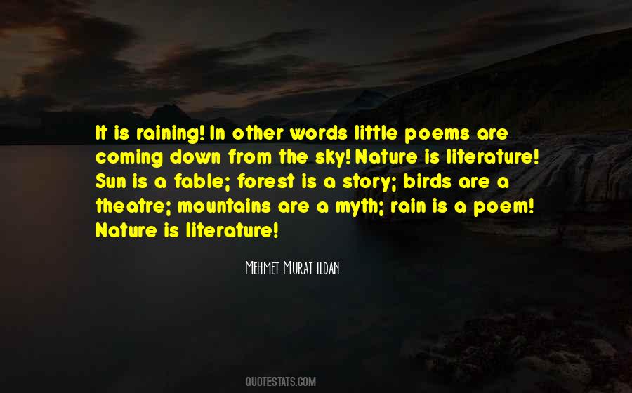 Quotes About Little Birds #1328382