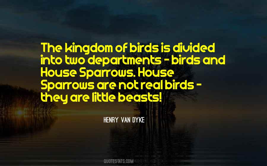 Quotes About Little Birds #302150