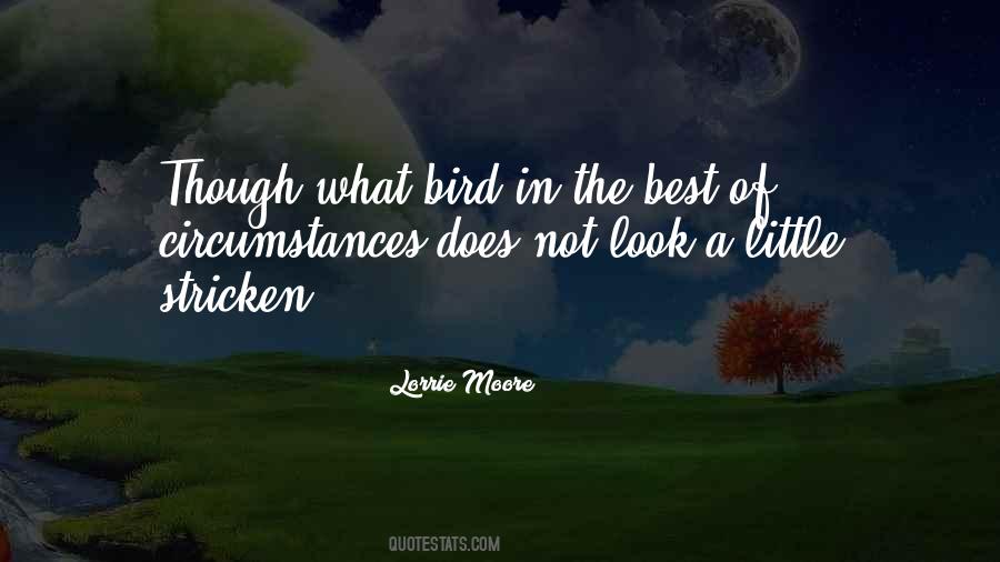 Quotes About Little Birds #977587