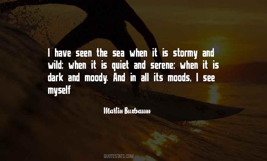 Quotes About The Stormy Sea #882190