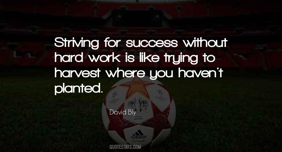 Quotes About Trying To Work Hard #47181