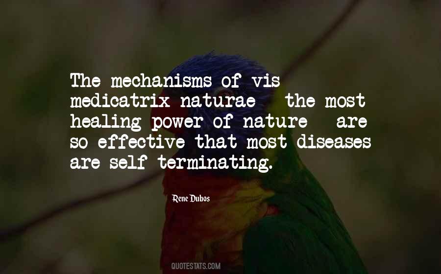 Quotes About Nature Healing #969556