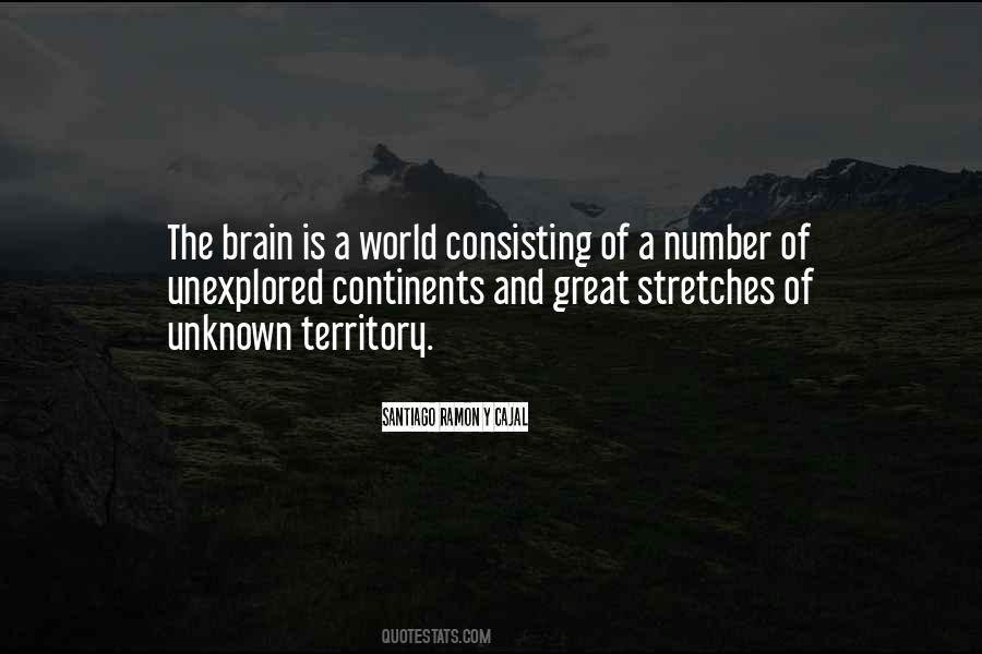 Ramon Cajal Quotes #1214711
