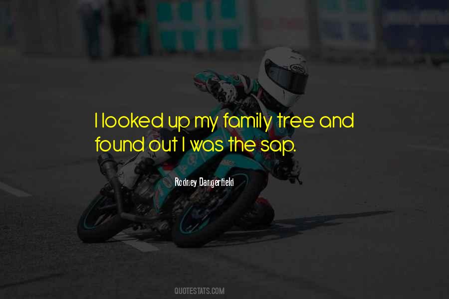 Family Found Quotes #203284