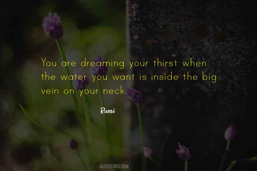 Quotes About Dreaming Big #936543