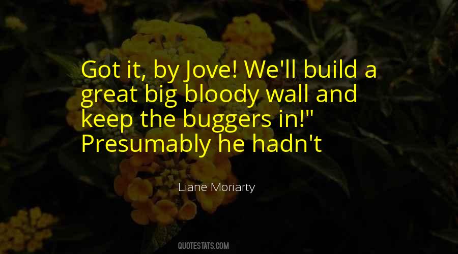 Build A Wall Quotes #679922