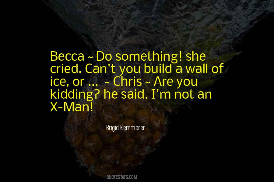 Build A Wall Quotes #798392