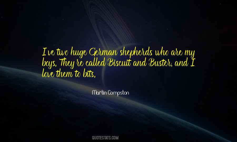 I Love My Boys Quotes #722126