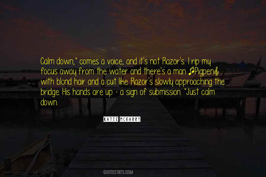 Quotes About Calm Down #180605