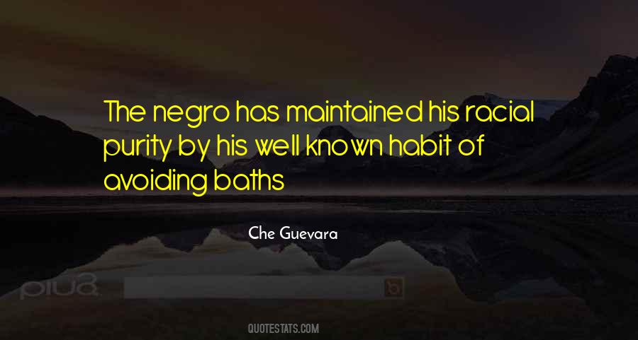 Racial Purity Quotes #1409455