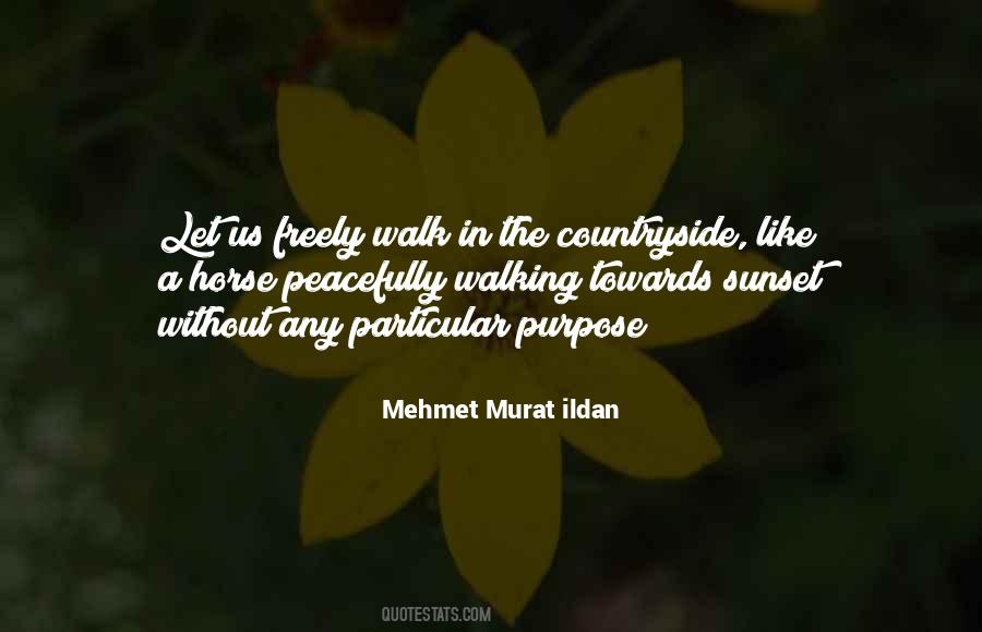 Turkish Playwrights Quotes #65726