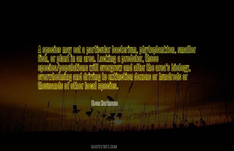 Estephania Ha Quotes #690844