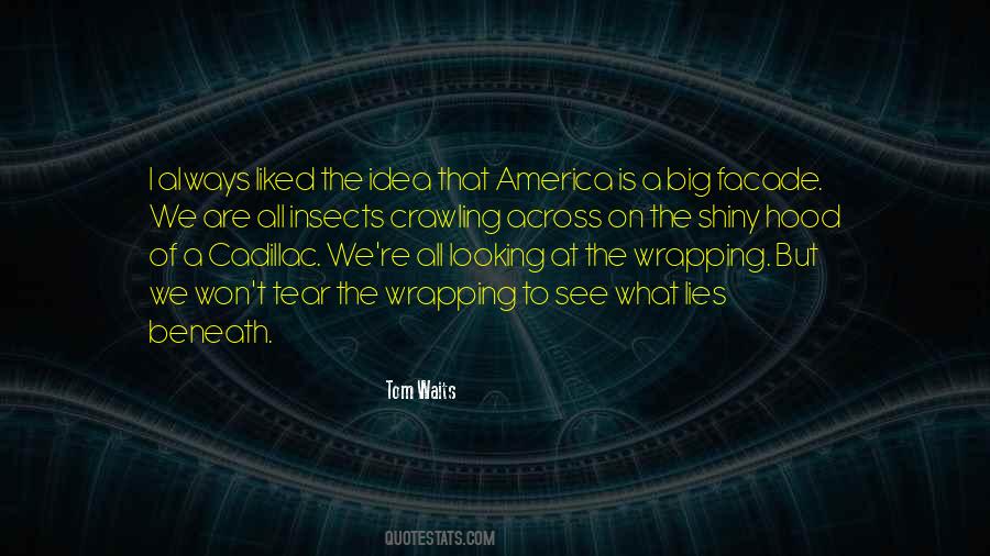 Too Shiny Quotes #19097