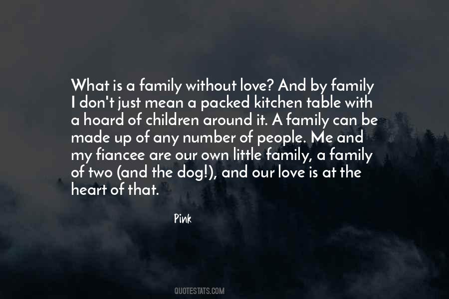 Quotes About The Love Of Family #197550