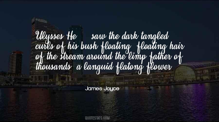 Ulysses James Joyce Quotes #974801