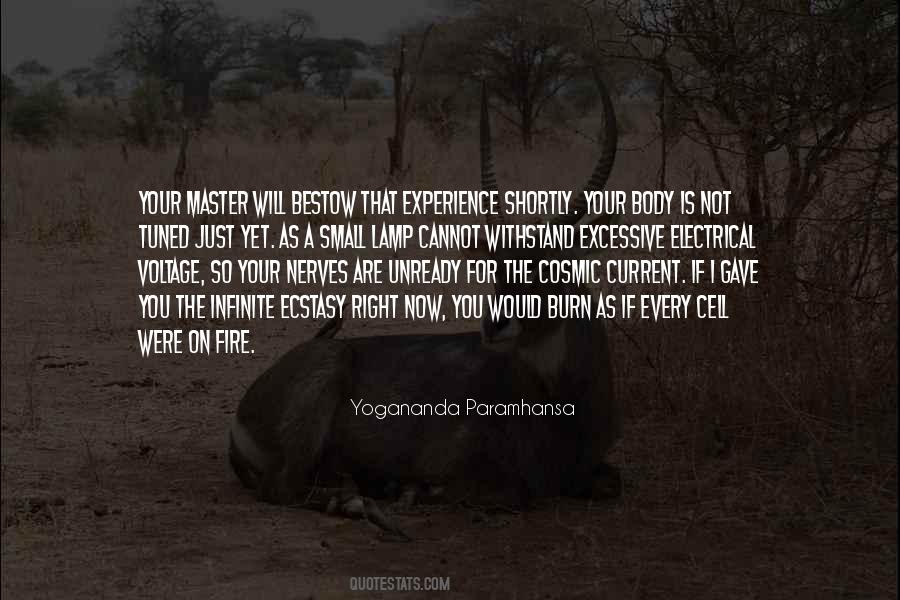 Body Experience Quotes #484574