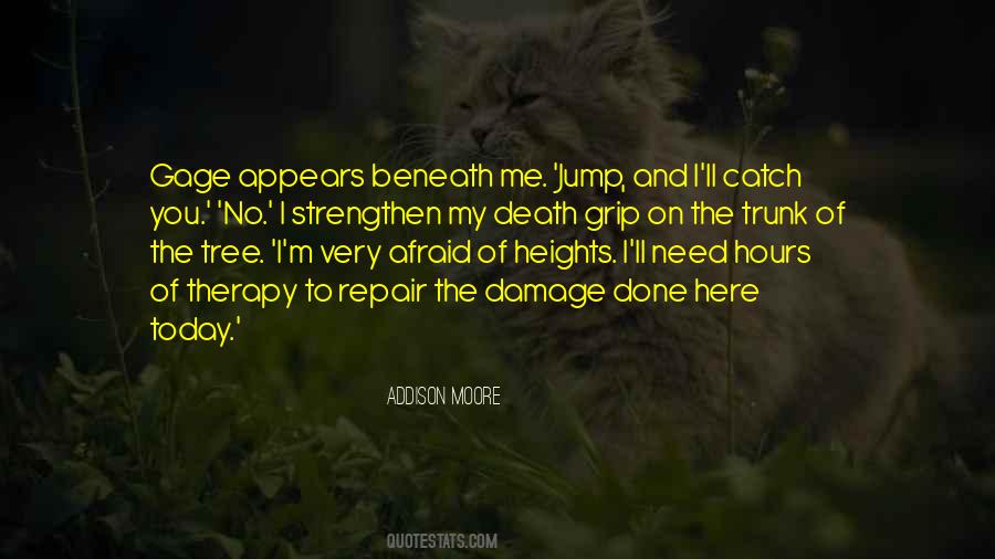 Quotes About Afraid Of Heights #1835225