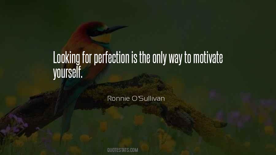 Quotes About No Such Thing As Perfection #3913