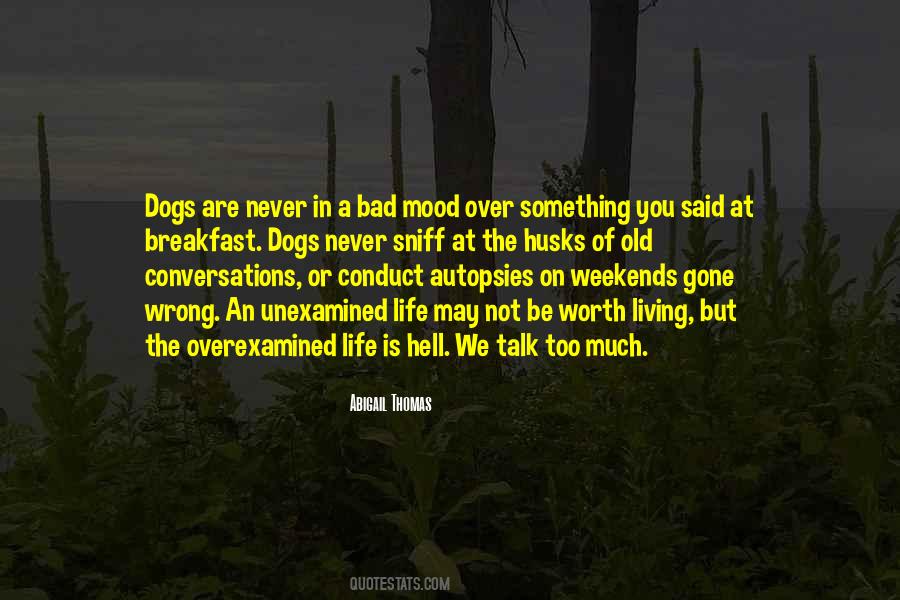 Quotes About Bad Dogs #501605