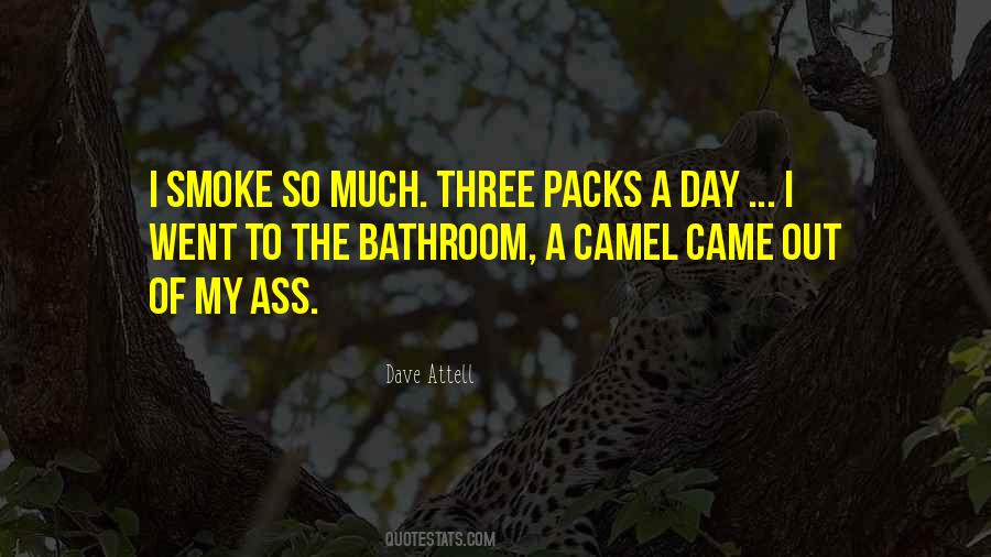 Quotes About Camels #1143786