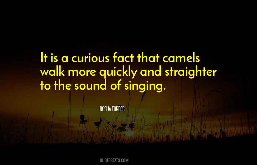 Quotes About Camels #1347076