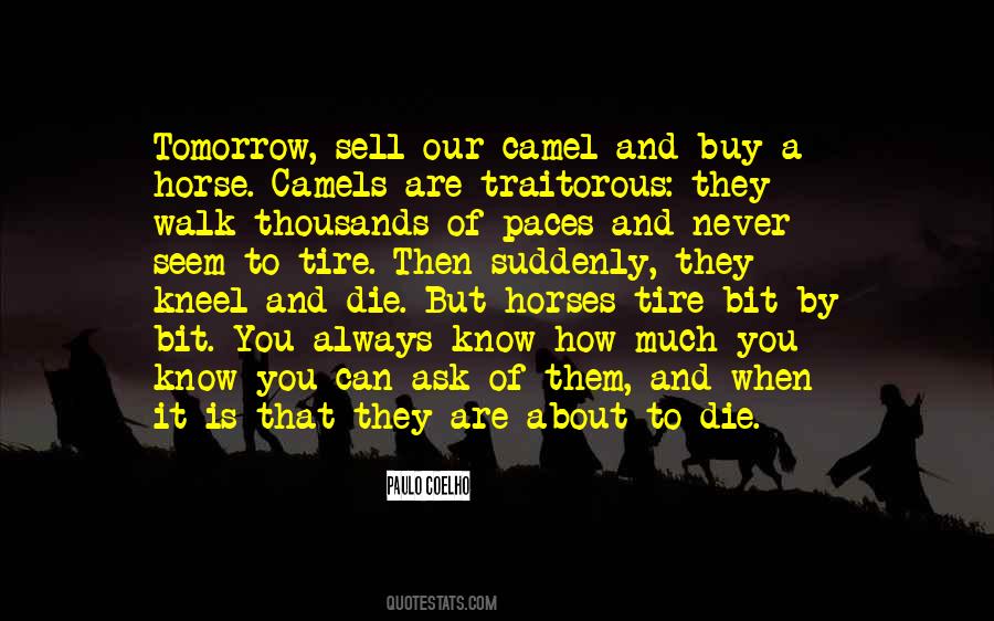 Quotes About Camels #1500152