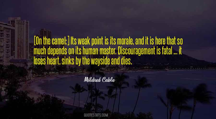 Quotes About Camels #352372