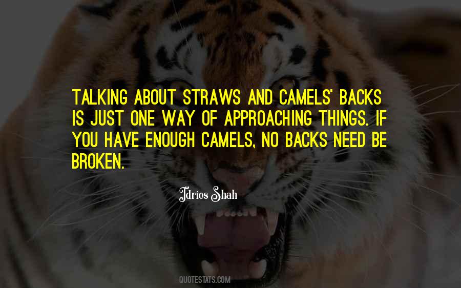 Quotes About Camels #641208