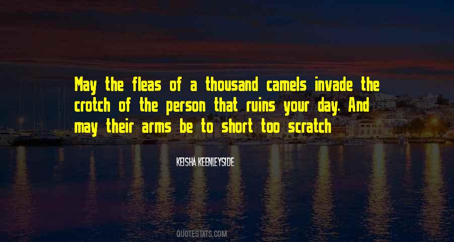 Quotes About Camels #827016