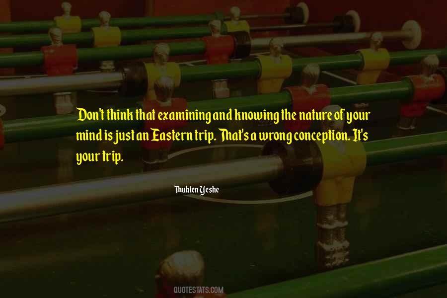 Quotes About Knowing Something Is Wrong #1580789