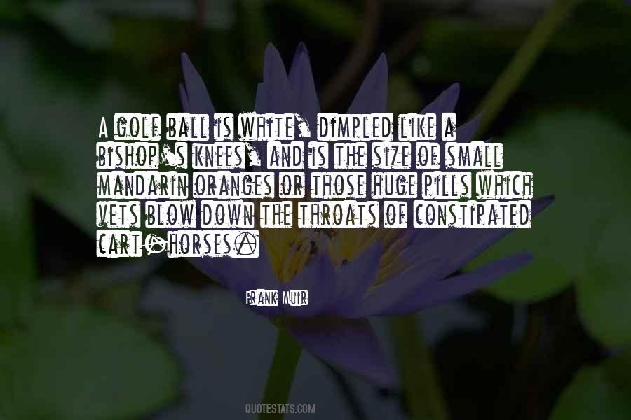 Quotes About Mandarin Oranges #976051