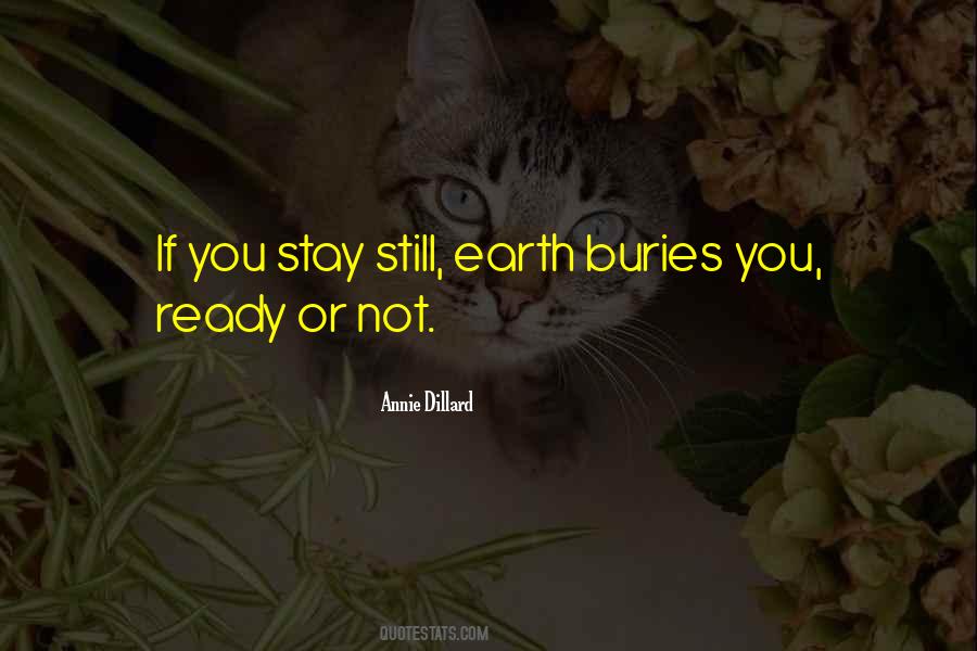 Stay Still Quotes #1423209