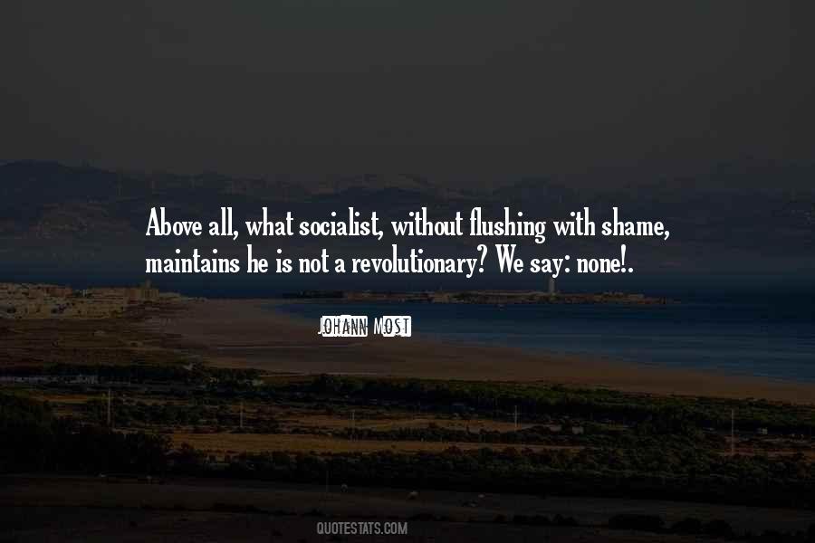 Quotes About A Revolutionary #1765700