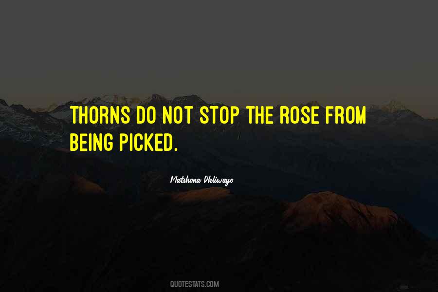 Quotes About Not Being Picked #558939