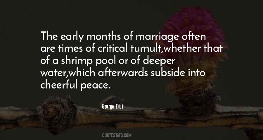 Quotes About Early Marriage #470415