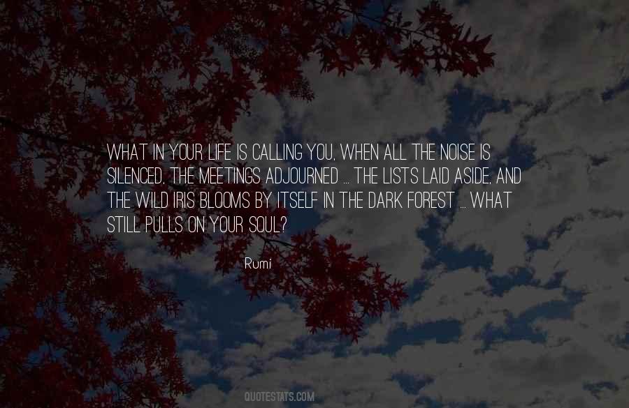 Wild Soul Quotes #1811099