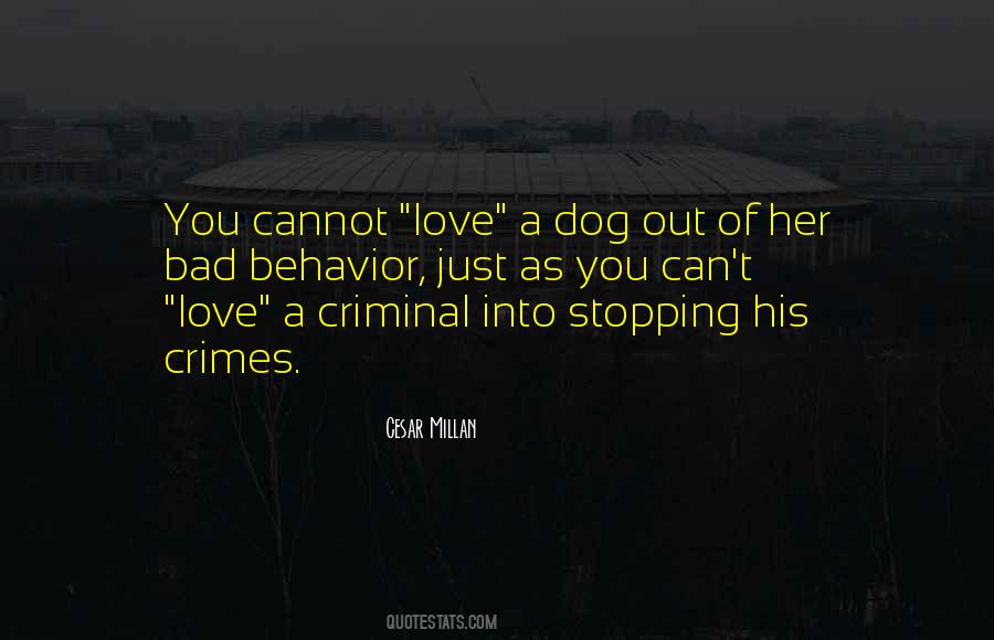 Bad Dog Quotes #1160778